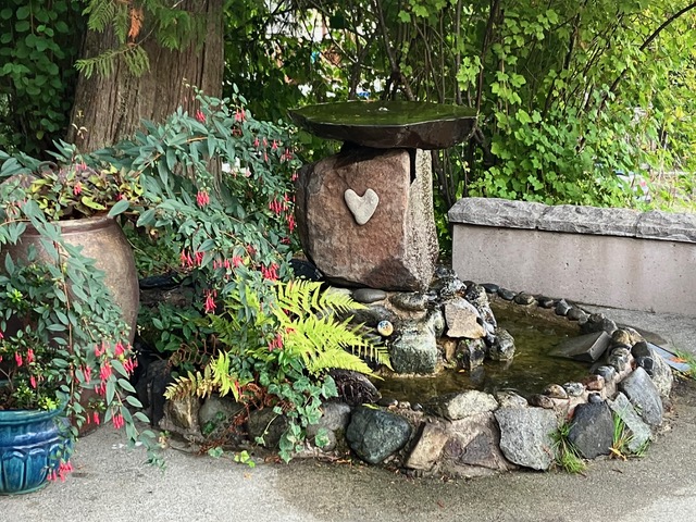 Peaceful water feature with plants for relaxing, meditation, contemplation
